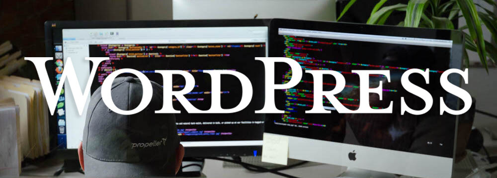 developer remediating a wordpress website for ada compliance