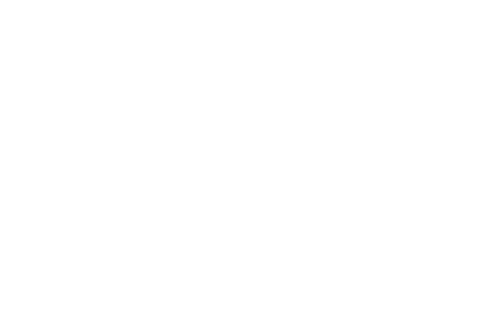 Run VT logo